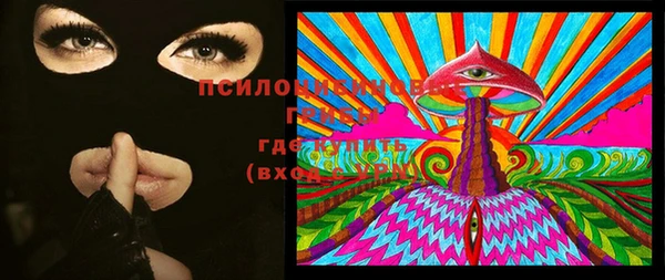 шишки Иннополис