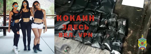 дживик Зеленокумск